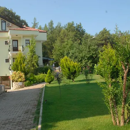 Grove 2*
